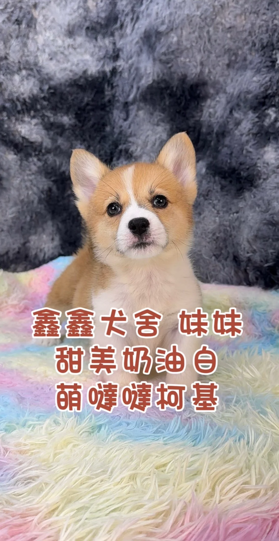 525