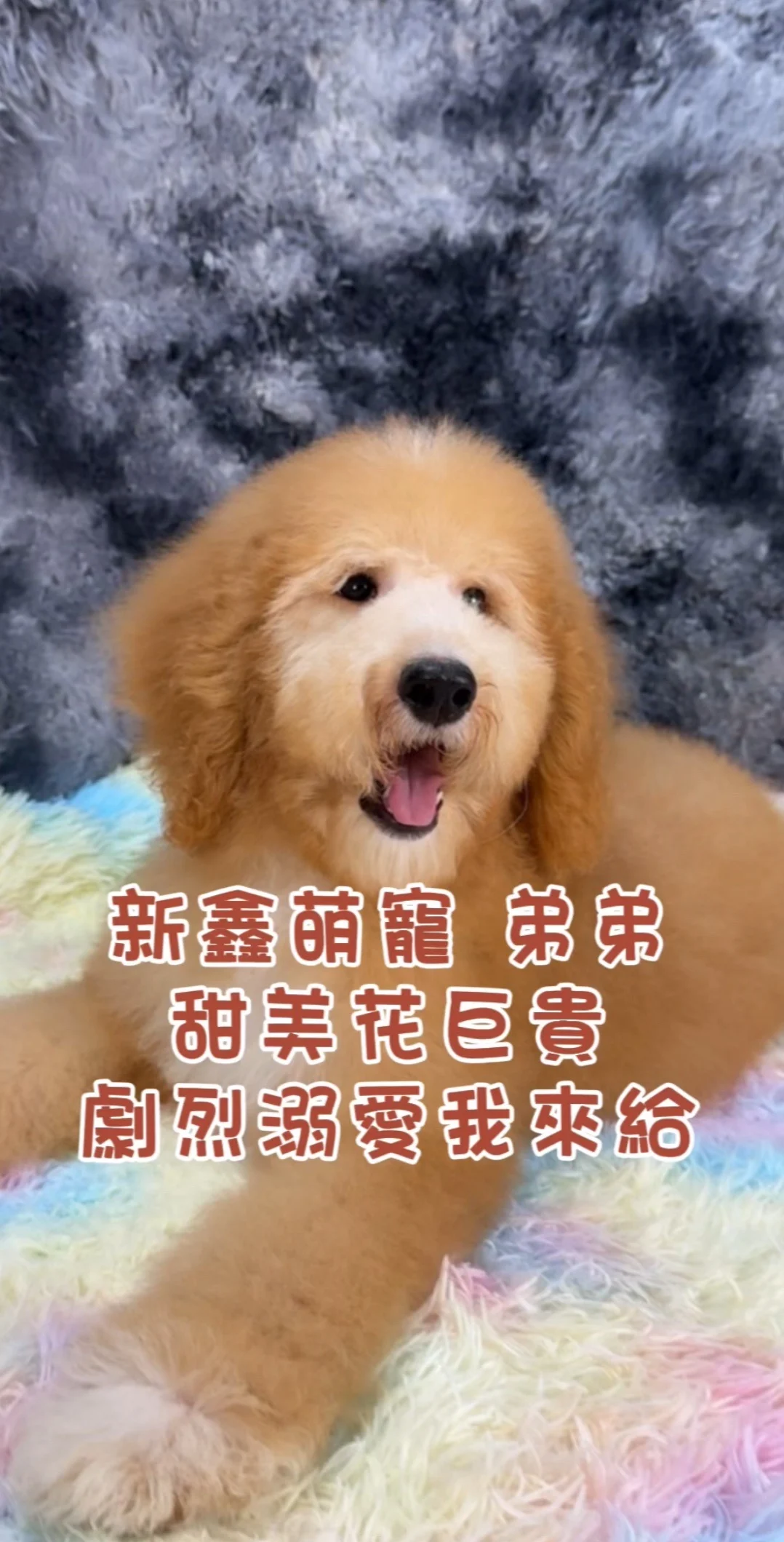 616
